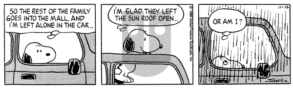 Peanuts on Wednesday November 16, 1988 Comic Strip