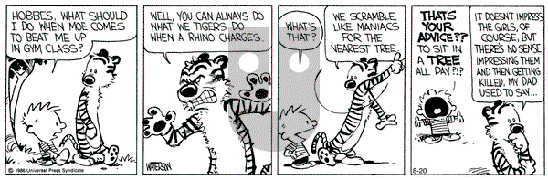 Calvin and Hobbes on Tuesday August 20, 1991 Comic Strip