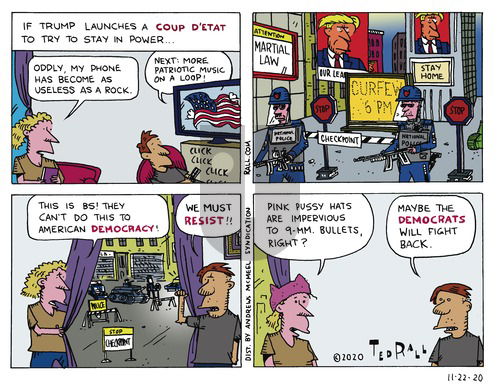 Ted Rall on Sunday November 22, 2020 Comic Strip