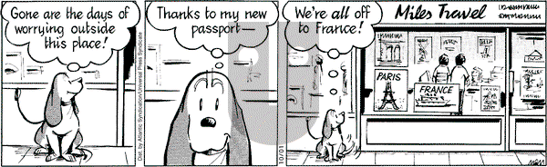 Fred Basset on Wednesday October 1, 2008 Comic Strip