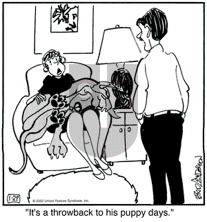 Marmaduke on Tuesday January 29, 2002 Comic Strip