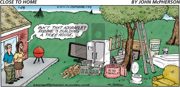 Close to Home on Sunday January 29, 2012 Comic Strip