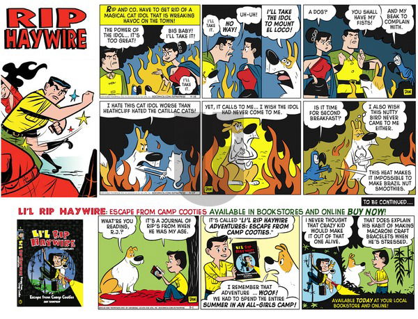 Rip Haywire on Sunday February 12, 2017 Comic Strip