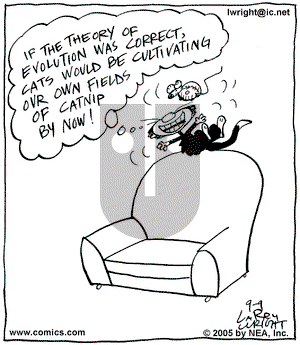 Kit 'N' Carlyle on Friday September 9, 2005 Comic Strip