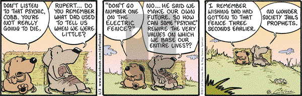 DeFlocked on Thursday January 3, 2013 Comic Strip