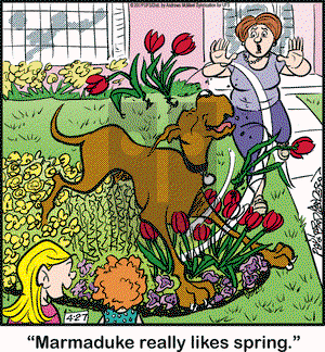 Marmaduke on Saturday April 27, 2019 Comic Strip