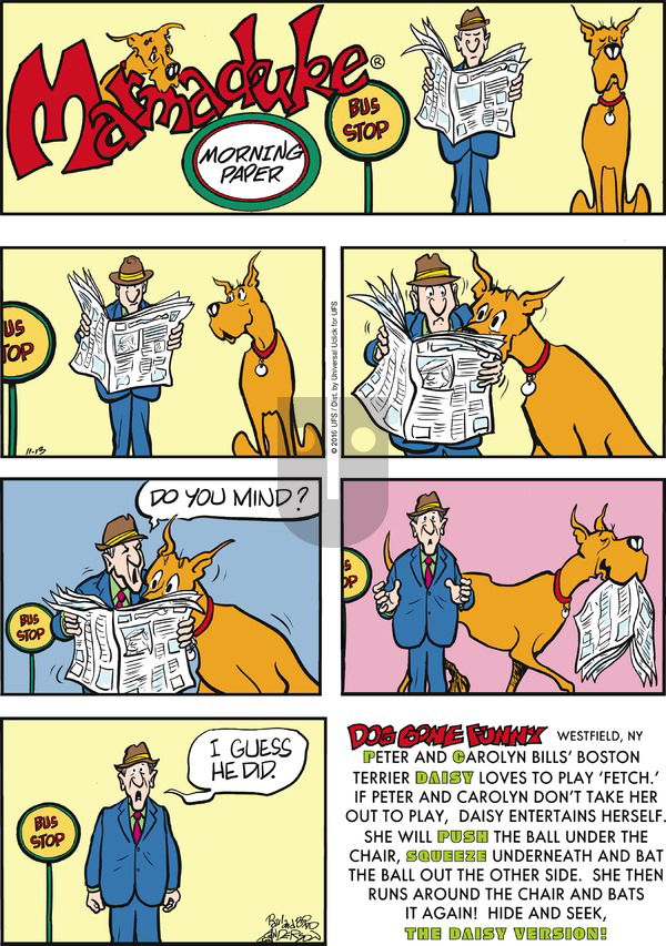 Marmaduke on Sunday November 13, 2016 Comic Strip