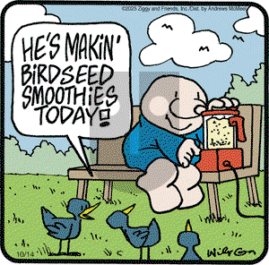 Ziggy on Tuesday October 14, 2025 Comic Strip