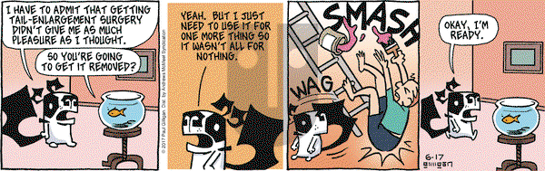 Pooch Cafe on Saturday June 17, 2017 Comic Strip