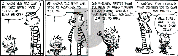Calvin and Hobbes - Thursday September 2, 1993 Comic Strip