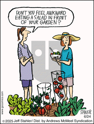 Moderately Confused on Tuesday June 24, 2025 Comic Strip