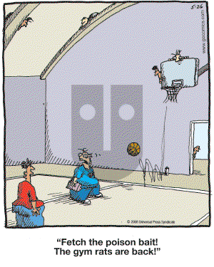 In the Bleachers - Monday May 26, 2008 Comic Strip