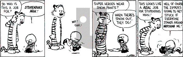 Calvin and Hobbes - Wednesday February 13, 1991 Comic Strip