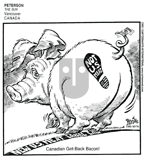 ViewsAmerica on Sunday April 19, 2009 Comic Strip
