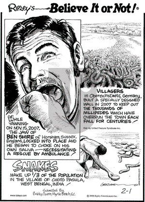 Ripley's Believe It or Not on Friday February 1, 2008 Comic Strip