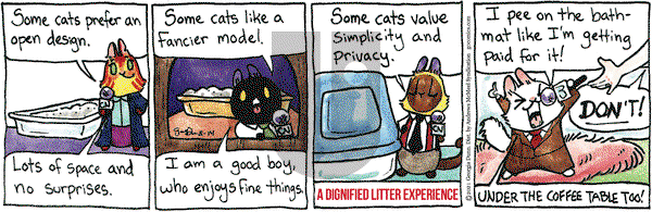 Breaking Cat News - Saturday August 14, 2021 Comic Strip