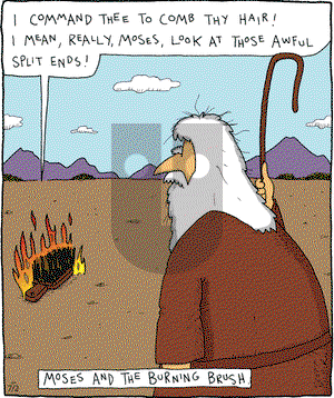 The Argyle Sweater on Wednesday July 2, 2008 Comic Strip