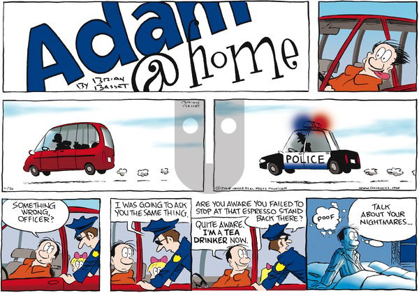 Adam@Home on Sunday November 30, 2008 Comic Strip