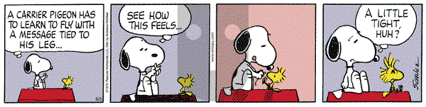 Peanuts on Thursday June 5, 2025 Comic Strip