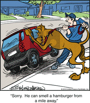 Marmaduke on Friday November 5, 2010 Comic Strip