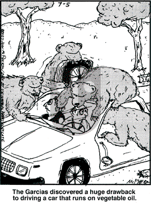 Close to Home on Thursday July 5, 2007 Comic Strip