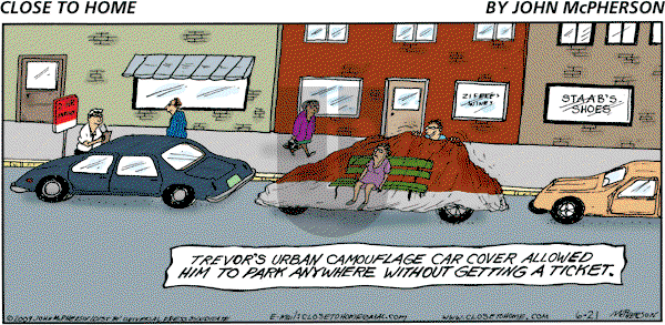 Close to Home on Sunday June 21, 2009 Comic Strip