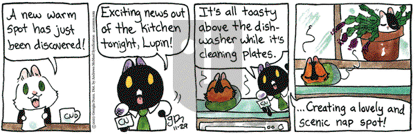 Breaking Cat News - Wednesday November 29, 2023 Comic Strip