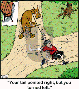Marmaduke on Thursday October 12, 2017 Comic Strip