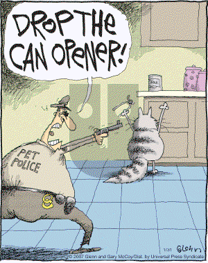 The Flying McCoys on Wednesday January 31, 2007 Comic Strip