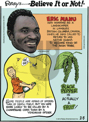 Ripley's Believe It or Not on Friday February 5, 2016 Comic Strip