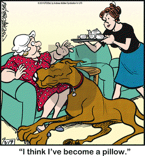 Marmaduke on Tuesday March 19, 2019 Comic Strip