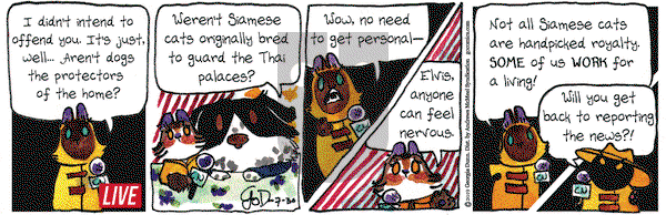 Breaking Cat News on Tuesday July 30, 2019 Comic Strip