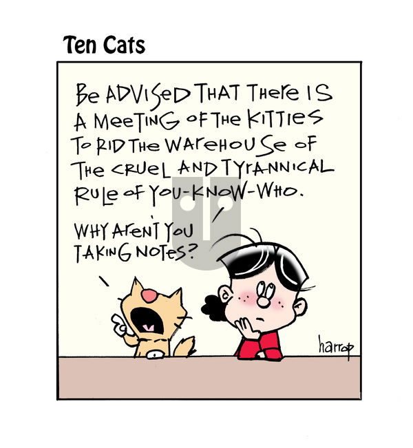 Ten Cats on Tuesday February 18, 2025 Comic Strip
