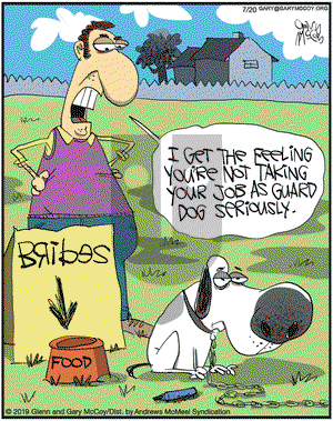The Flying McCoys on Saturday July 20, 2019 Comic Strip