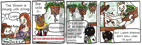 Breaking Cat News on Tuesday August 8, 2017 Comic Strip