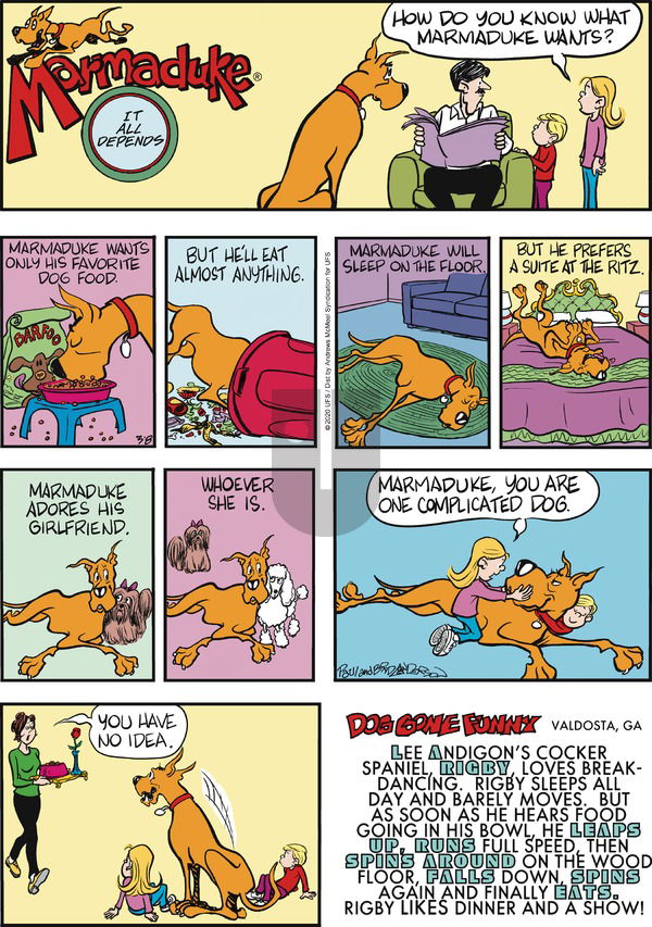 Marmaduke on Sunday March 8, 2020 Comic Strip