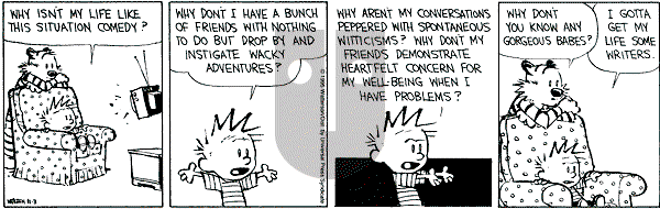 Calvin and Hobbes - Friday November 3, 1995 Comic Strip