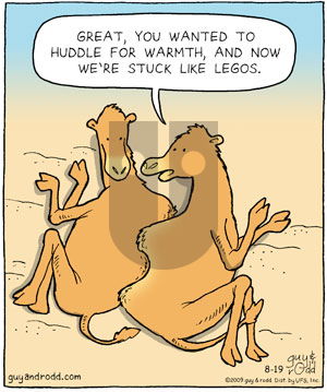 Brevity on Wednesday August 19, 2009 Comic Strip