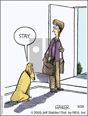 Moderately Confused on Friday August 28, 2009 Comic Strip