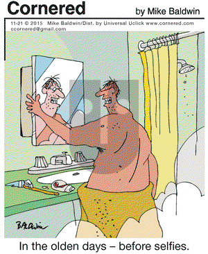 Cornered on Saturday November 21, 2015 Comic Strip