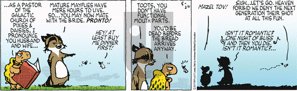 Over the Hedge on Friday May 26, 2017 Comic Strip