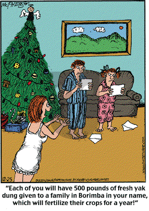 Close to Home on Wednesday December 25, 2024 Comic Strip