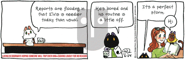Breaking Cat News on Monday June 24, 2019 Comic Strip