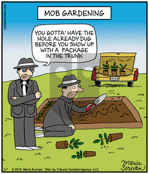 Half Full on Friday August 7, 2015 Comic Strip