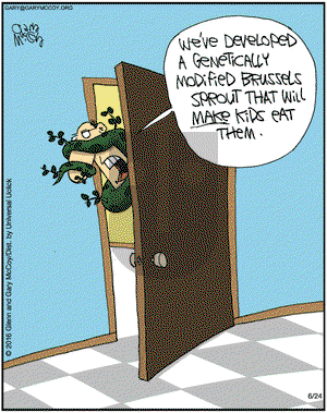 The Flying McCoys on Friday June 24, 2016 Comic Strip