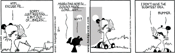 Over the Hedge on Thursday May 23, 2002 Comic Strip
