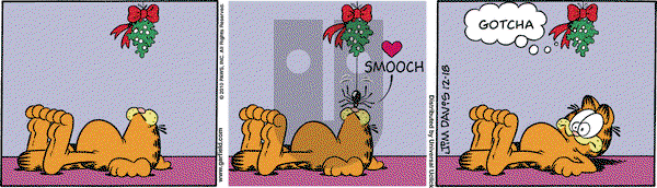 Garfield on Saturday December 18, 2010 Comic Strip