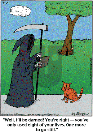 Close to Home on Saturday September 7, 2024 Comic Strip