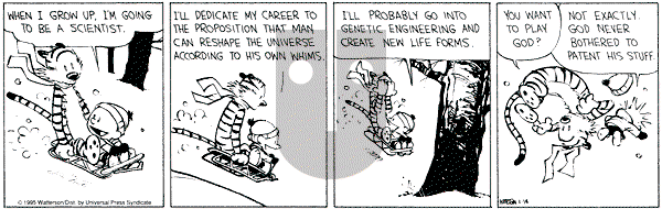 Calvin and Hobbes - Saturday January 14, 1995 Comic Strip