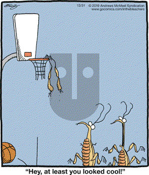 In the Bleachers on Tuesday December 31, 2019 Comic Strip